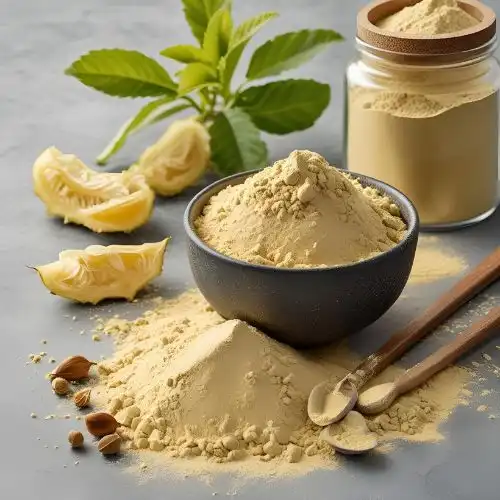 Can Kombucha Powder Help You Lose Weight?